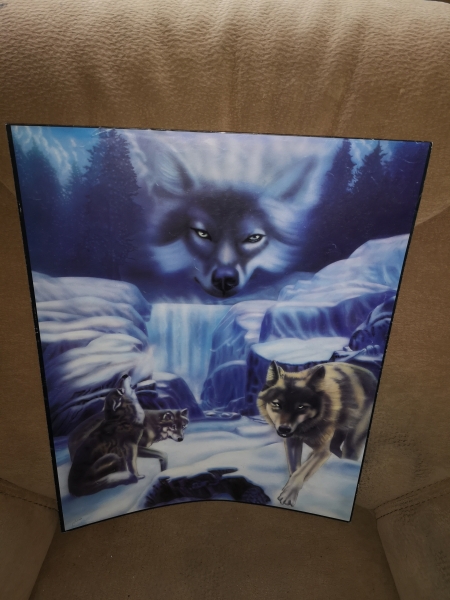Poster Wölfe